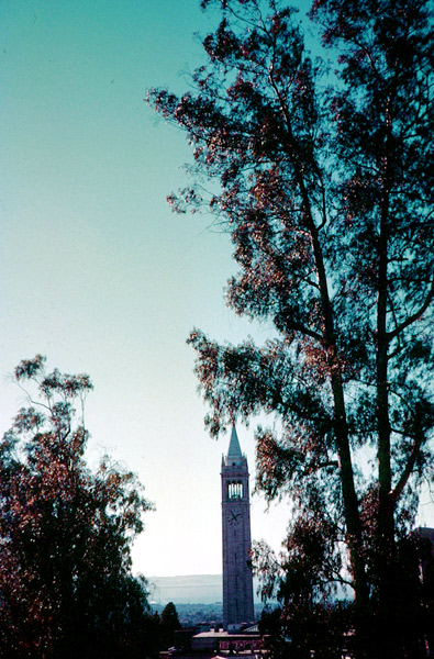 Campenile_Evening