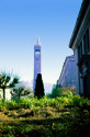 Sunday_Morning_Campenile_Way