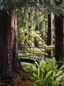 04-Strawberry_Bridge
