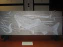 09-IMG_1161