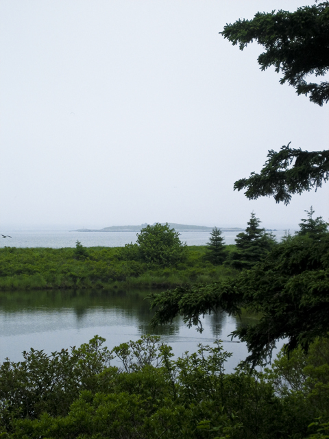South shore, NS
