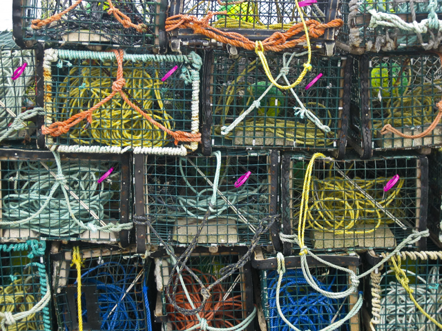 Lobster traps, NS
