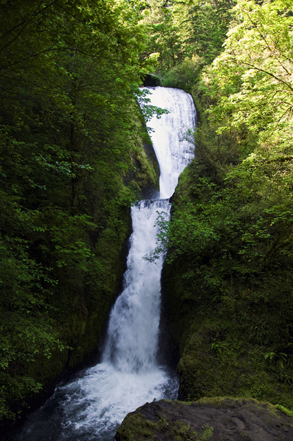 10_new_DSC_0049
