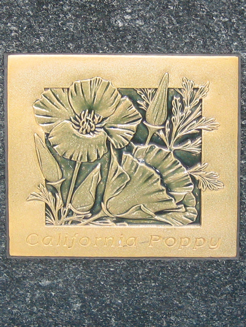 12-Poppy-USQ