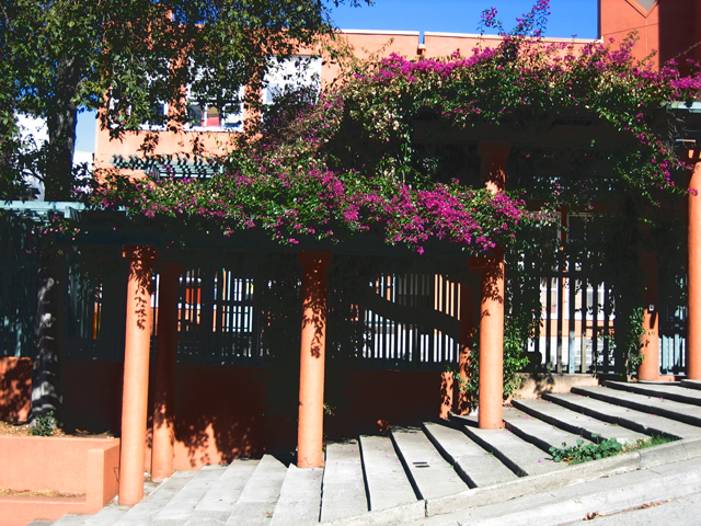 24-School_Flowers