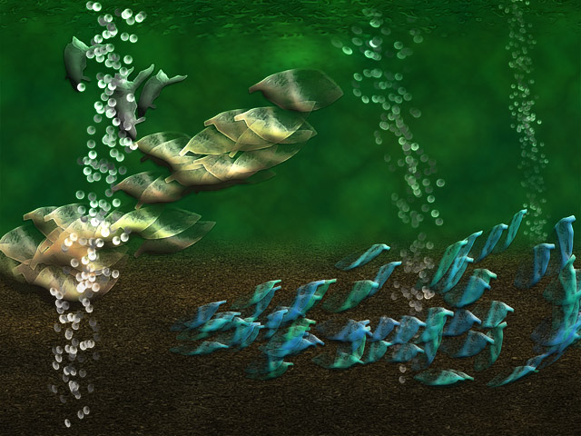 Fish Schools