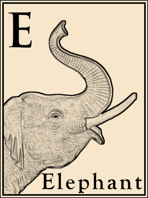 E is for Elephant