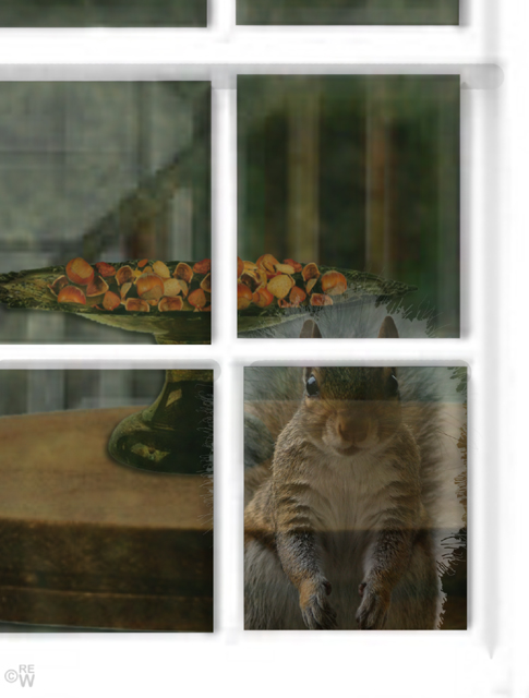 Squirrel & distant nuts