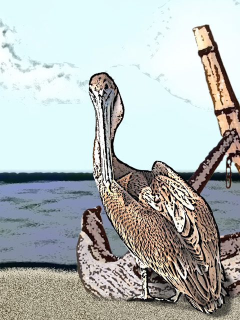 Pelican & anchor