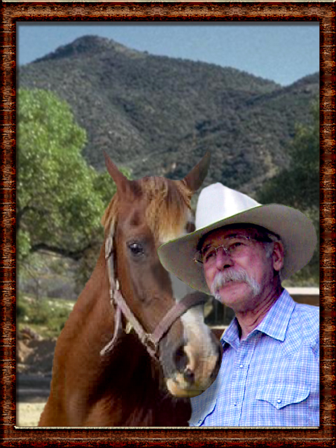 Cowboy and Horse