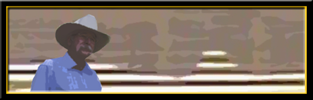 Cowboy Panel
