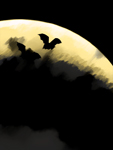 Bat Moon