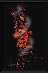 Leaf Whirlwind